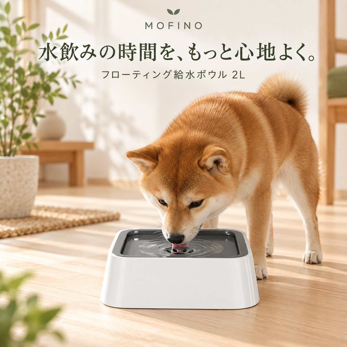 Mofino グレー給水ボウル2Lを使う柴犬のイメージ